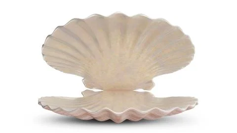 Empty sea shell. For your banner, poster, logo. Empty, blank, sea shell isolated Stock Illustration