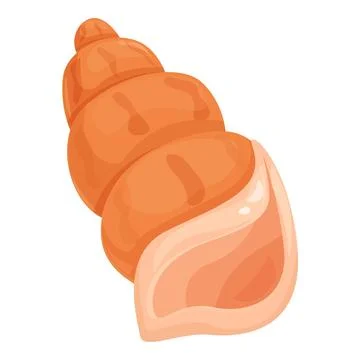 Empty seashell from tropical sea life showing spiral shape Stock Illustration
