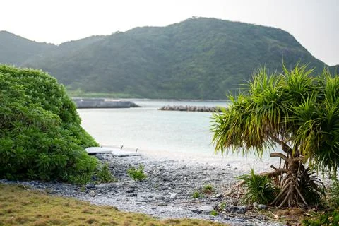 Empty seaside in spring at Aka Island, Zamami Village, Okinawa Prefecture, Japan 写真素材