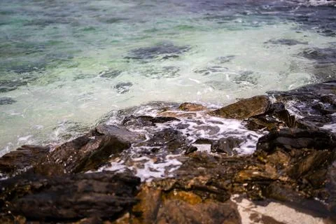 Empty seaside in spring at Aka Island, Zamami Village, Okinawa Prefecture, Japan 写真素材