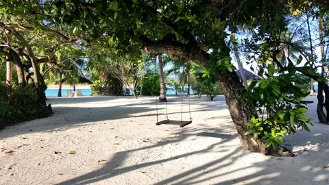 Empty seat swing in a beach , Maldives.  Stock Footage 168628056