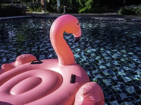Empty seating space on the pink inflatable ring, flamingo in the swimming poo Stock Photos