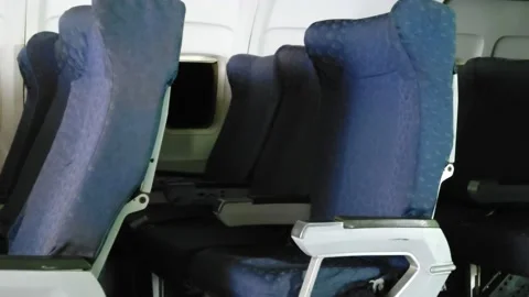 Empty seats inside an airplane Stock Footage 236312737