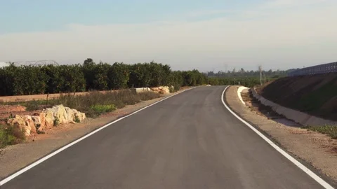 Empty secondary road by orange trees in Betera near Valencia Stock Footage 181877415