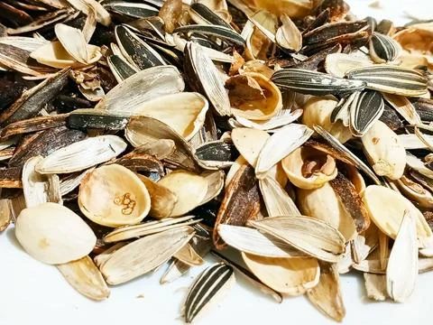 Empty seed shells Stock Photos