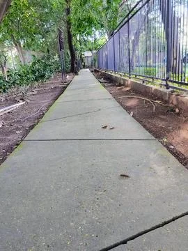 Empty shaded park trail surrounded by lush foliage, quiet jogging path with.. Stock-Fotos