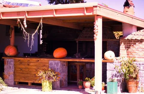 An empty shed with pumpkins kept on the counters during daytime surrounded by Stock Photos