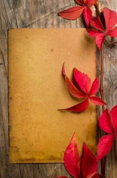 Empty Sheet Stock-Fotos