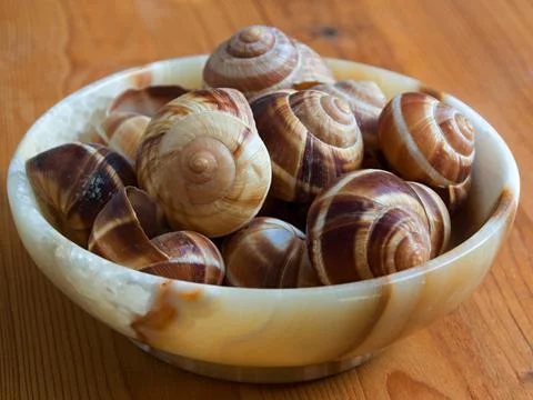 Empty shell of cooked grape snails in the marmor bowl on the wooden table Stock Photos
