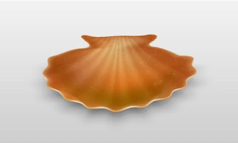 Empty shell Illustrazione stock