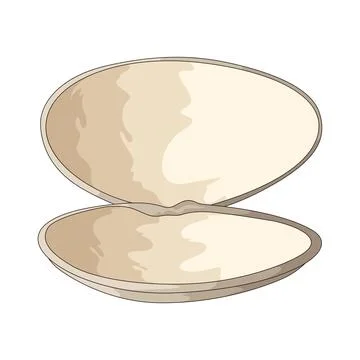 Empty shell illustration Stock Illustration