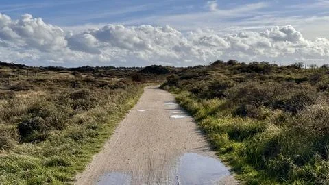 An empty shell path with puddles of water Stock Photos