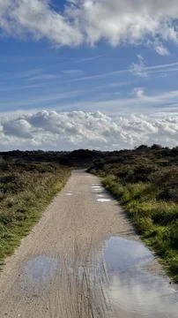 Empty shell path with puddles of water Stock Photos