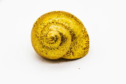 Empty shell of a snail in the gold glitter against white background. Snail sh Stock Photos
