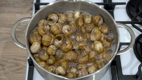 Empty shells from grape snails are boiled in a pot of boiling water to clean off 스톡 동영상 163519845