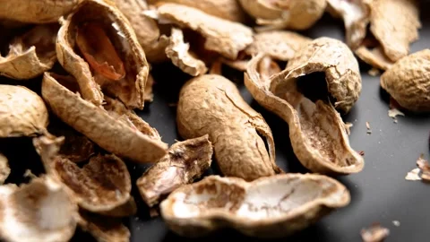 Empty shells of roasted peanuts on black ceramic plate Video stock 309610175