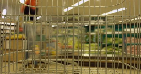 Empty Shopping Trolley Moving Through Aisles Of a SuperMarket  Stock Footage 95089717