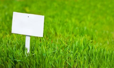 Empty sign on green grass Foto stock