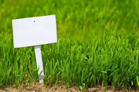 Empty sign on green grass Stock Photos