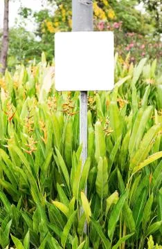 Empty Sign Stock Photos