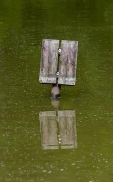 Empty Sign In Water Stock Photos