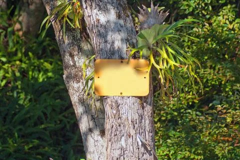 Empty signboard in a tropical forest environment Foto stock