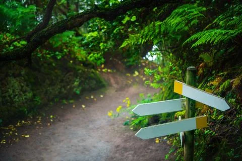 Empty signpost on path in Anaga forest nature reserve in Tenerife. Stock Photos