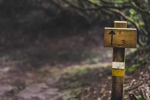 Empty signpost on path in Anaga forest nature reserve in Tenerife. Stock Photos
