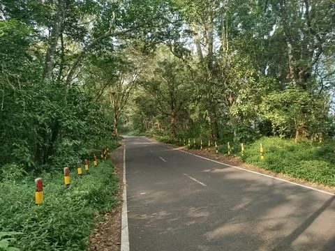 An empty silent highway in the middle of a forest mountain 스톡 사진