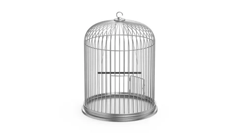 Empty silver bird cage 動画素材 342958803