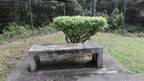 Empty sit in the park Stock Footage 170168447