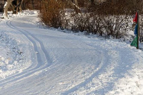 Empty ski run in the forest in winter Stock Photos