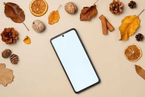 Empty smartphone screen with frame from leaves, nut, cones, dried fruits, cin Stock Photos