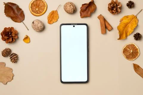 Empty smartphone screen with frame from leaves, nut, cones, dried fruits, cin Stock Photos