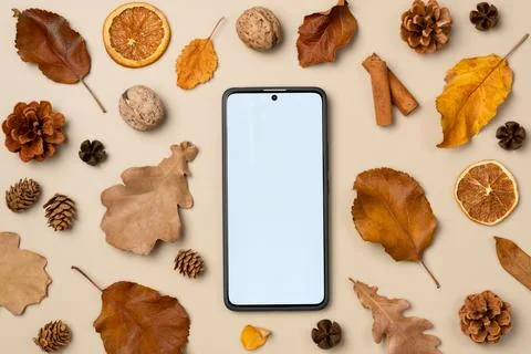 Empty smartphone screen with leaves, nut, cones, dried fruits, cinnamon sti.. Stock Photos