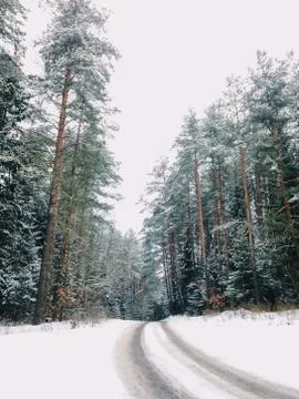 Empty snow covered road through the woods Stock Photos