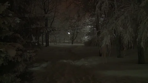 Empty snow covered walkway with trees at night Video stock 84057568