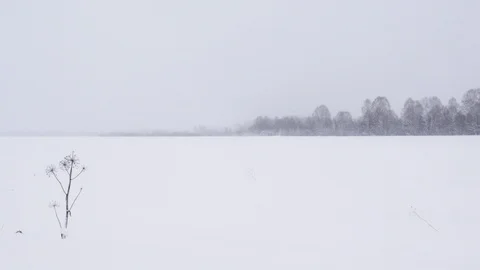 Empty snow field at winter. Stock Footage 121394854