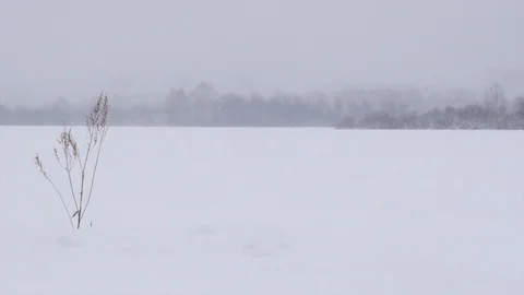 Empty snow field at winter. Stock Footage 121394927