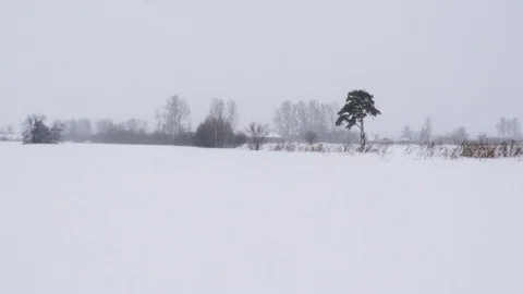 Empty snow field at winter. Stock Footage 121394931