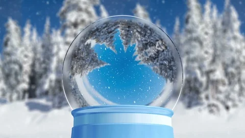 Empty Snow Globe in Winter Landscape 3D Animation Stock Footage 99484422