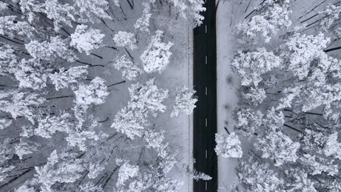 Empty snowy  north road, winter forest landscape Stock Footage 146297616