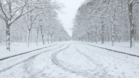Empty snowy road in the Bois de Vincennes Stock Footage 87399755