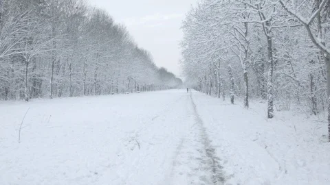 Empty snowy road in the Bois de Vincennes Stock Footage 87408127