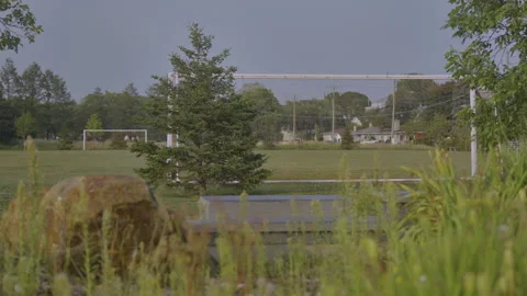 Empty soccer field Stock Footage 211879082