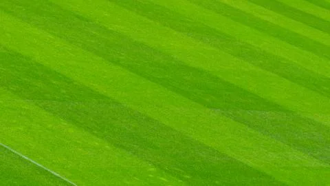Empty soccer's field at the stadium during isolation period Stock Photos