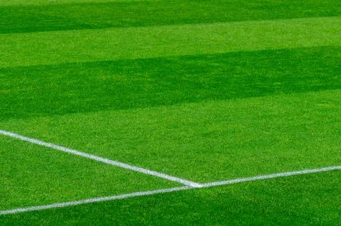 Empty soccer's field at the stadium during isolation period 库存照片
