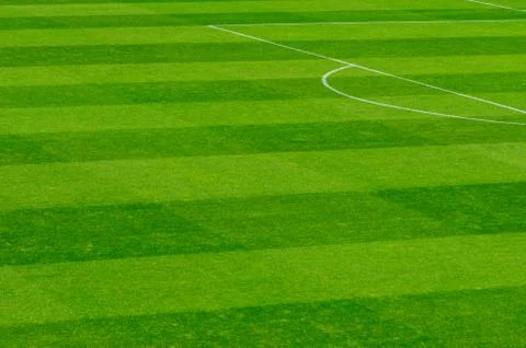 Empty soccer's field at the stadium during isolation period Stock Photos