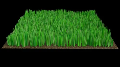 Empty soil becomes full, with thick green grass. 3d animation render. Stock Footage 308771101