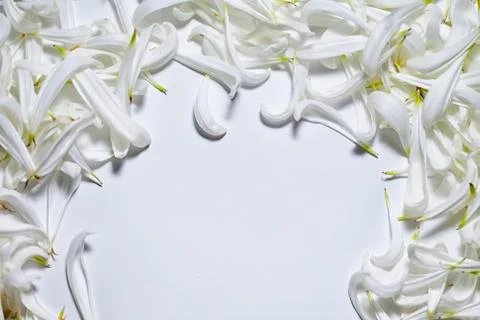 An empty space bounded by white petals Stockfoto's